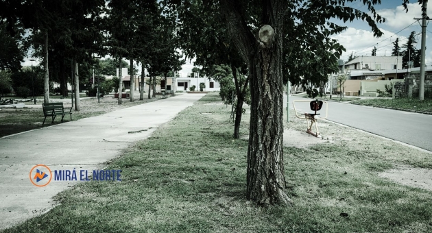 1135_plazalota-bustamenta.jpg
