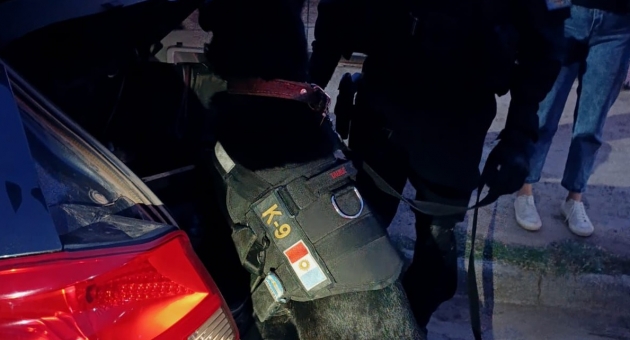1168_perro-fpa.jpg