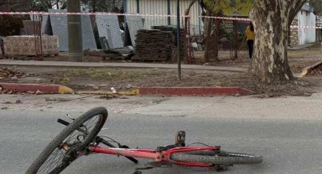 1173_bici-cc.jpg