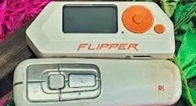 576_flipperhackeo.jpg
