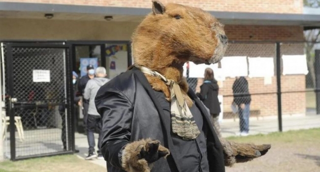 57_un-hombre-fue-a-votar-a-nordelta-disfrazado-de-carpincho-ch.jpg